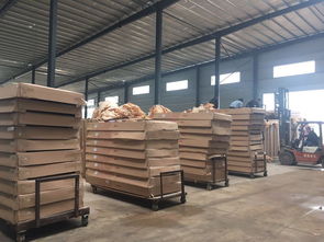 建筑工程中高端門類選擇 新款電解門、拼裝門、鋁合金轉(zhuǎn)印門與定制鋼套門的解析與考量